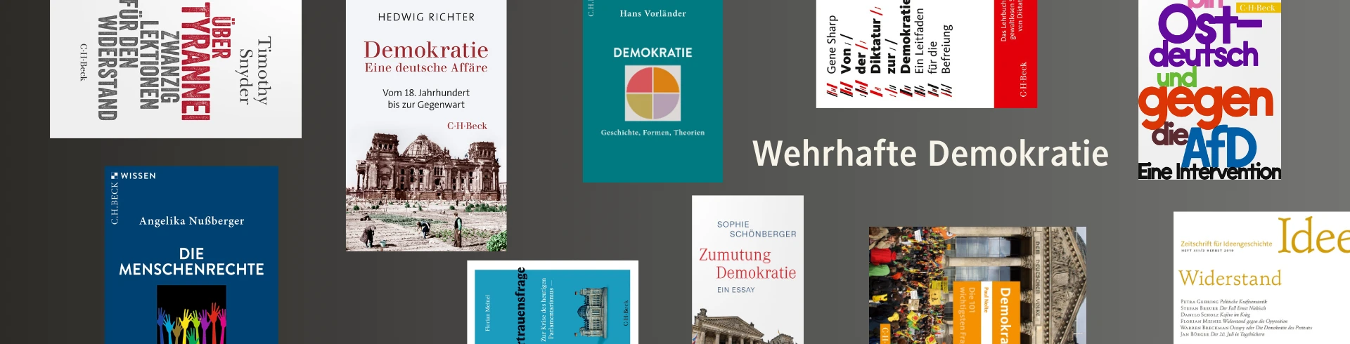 lekt-reliste-demokratie-12-b-cher-zum-thema-wehrhafte-demokratie
