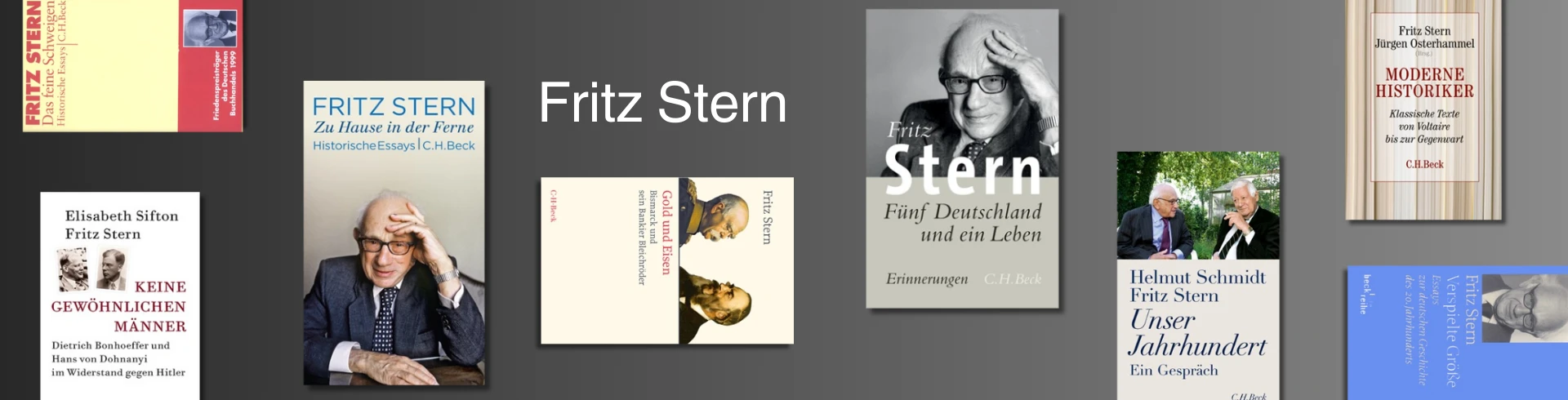 Leseliste "Fritz Stern": Es sind acht verschiedene Buchcover zu sehen.